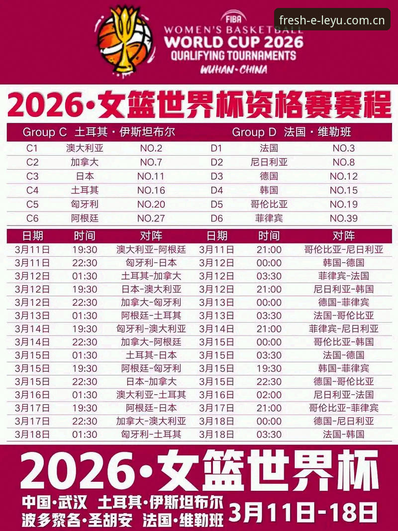 2026世界杯观赛流程深度评测：签证障碍如何影响体育平台赛事体验