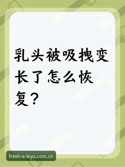 梅里诺恢复历程深度解读使用教程